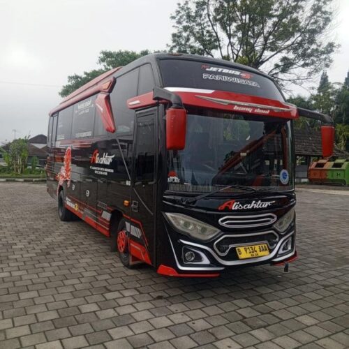 MEDIUM BUS WEBSITE 2 (Copy)