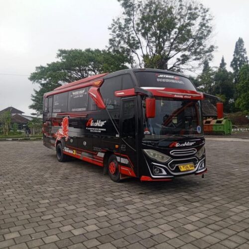 MEDIUM BUS WEBSITE (Copy)