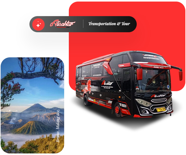 profil-alisahtur-rev1